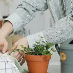 Chaque pièce que je façonne est le reflet de cet engagement. C’est une quête constante d’équilibre entre esthétique, utilité et respect des ressources naturelles.